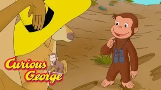 George Meets a Kangaroo!  🐵 Curious George 🐵 Kids Cartoon 🐵 Kids Movies