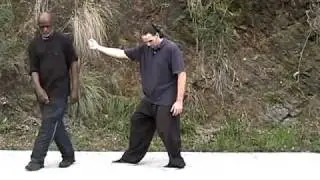 Xing Yi Quan Wu Xing (Five Element) Applications