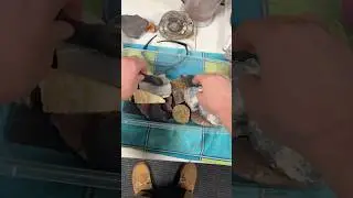 Test Cutting DINOSAUR BONE 🦖🦴
