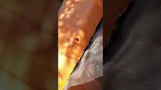 Déchaumeuse électrique