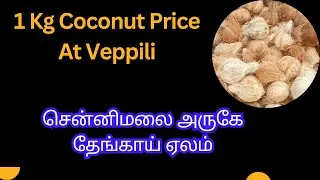 வெப்பிலி மண்டியில் தேங்காய் விலை | Coconut Rate At Veppili Mandi | 14th Oct 2025 Coconut Business