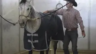 How to Blanket Your Horse