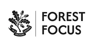 AI and Teaching & Learning at Forest