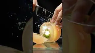 Hyper-Realistic Glass Plum ASMR | Cinematic Fruit Slicing 🍑🔪