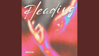 Pleading