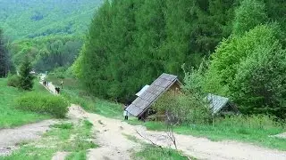 Dom o Zielonych Progach - P&oacute;jdę w połoniny (A ja wolę...)