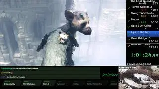 Last Guardian Any% Speedrun in 3:13:54 [WR]
