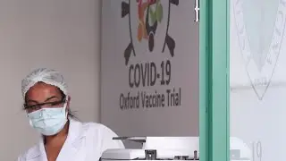 Oxford Covid-19 vaccine trial put on hold after participant falls ill