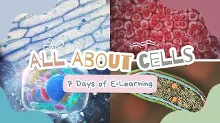Cells: Explained | Animal, Plant and Bacterial Cells | Parts and Diagrams | 7 Days of E-Learning