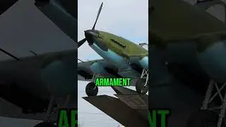 Why Il-2 pilots never fired their guns?