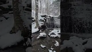 Snowy forest valley with creek and waterfall