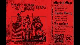 Grindcore (isn&acute;t) Mediocre (full split) // Human Misery/En Acidos/Morbid Meat
