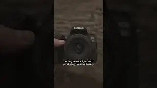 Are They Good For Content Creators? Canon 77D vs Canon 600D