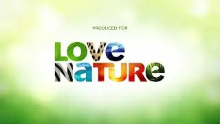 Blink Films/Love Nature/Blue Ant International (2018)