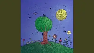 Sky Traffic