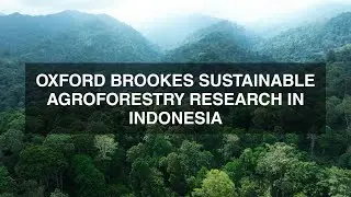 Oxford Brookes Sustainable Agroforestry Research in Indonesia