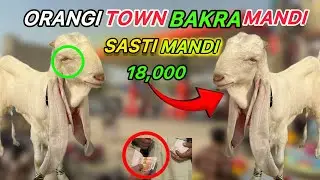 Orangi Town Bakra Mandi  Phar Gayi!😱🐐|2026 Latest Rates | Full Bargaining Soday Hi Soday💸🔥