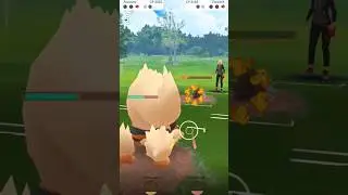 Arcanine melting the opponent team with fire fang