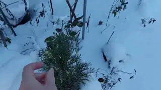 Випав сніг на поріг