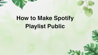 How to Make Spotify Playlist Public