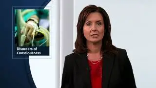 Paradigm Outcomes | Disorders of Consciousness