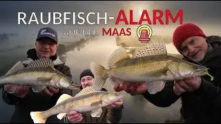 &bdquo;Holland neu entdecken &ndash; Auf Spot-Jagd mit Profi-Angler Dietmar Isaiasch🎣🌊 | Folge 3&ldquo;