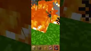 #firevideo