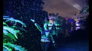 NightGarden at Fairchild Tropical Botanic Garden || Miami's Holiday Tradition