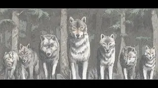 Tex Willer - Cuvaj Se Vuka (Strip u boji)