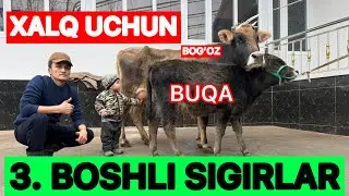 🛑ALMARDONARZONCHi‼️FOYDA KERAK MAS DEDI KORING NARXLARI ZOR BOLDI