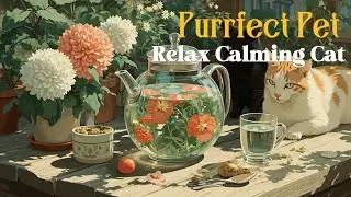 Purrfect Harmony: Calming Music for Cats with Gentle Piano for Deep Relaxation