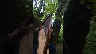 Живая арфа ~ Новое рождение/Living Harp ~ New Birth  #soundhealing #дживалёс #harptherapy #лес