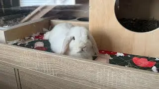 Two bunny teething toys we love from Amazon!  