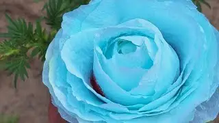 Creative Rose With Tissue paper/How to make Rose flower/Tissue paper Flower/DIY Crafts 