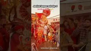 Amritsar langoor mela day -6 #viral #langoormela #langoorvideo #bajrangbali #hanumanji #trending