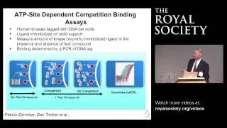 Targeting the human kinome: cancer drug discovery