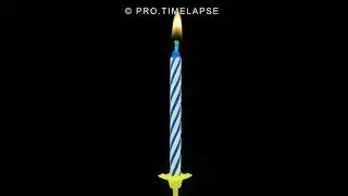 How Birthday Candles Burns Time Lapse #shorts