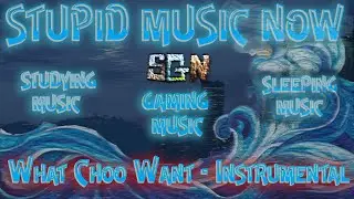 Stupid Gamer Now -- Vol 1 -- What Choo Want -- Instrumental