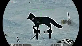 Новая винтовка DNT Zulus 4k Test .22lr, дальность стрельбы до 164 ярдов.