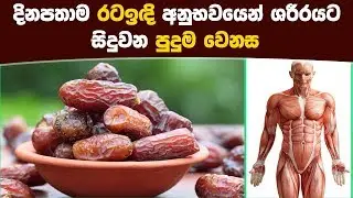 දිනපතාම රටඉඳි අනුභවයෙන් ශරීරයට සිදුවන පුදුම වෙනස
