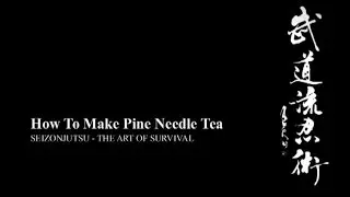 HOW TO MAKE PINE NEEDLE TEA (Seizonjutsu) Ninja Survival Training