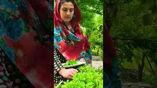 Hunja Ghati Girl Vlog | Food Vlog || Hunza People | Short
