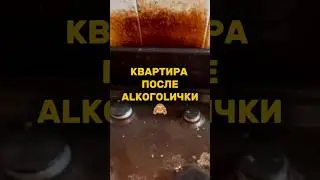 Квартира после аLкогоLички🙈 Пятновыводитель Easy Clean арт. WB: 446113153 #допосле #аренда #история