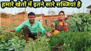 हमारे खेतों में इतने सारे सब्जियां है || village Life style vlog || daily vlog 