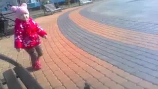 Доча голуби