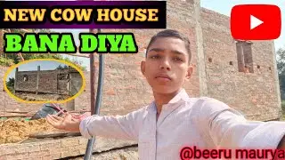 New cow house ban gaya #yutubeshorts #yutubeshorts #village #desi 