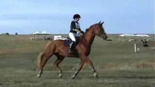 Dana Lessie & Fagan COLORADO Horse Park Oct 2008 EVENTING 2