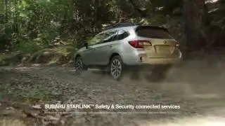 Napleton's Auto Group Subaru New World Tag
