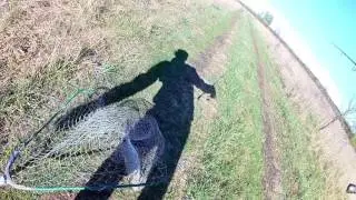Жерех на 