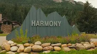 Harmony Recovery: A Comprehensive Continuum of Care | AllHealth Network